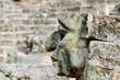 Copan Archeological Park in Honduras Copan Archeological Park in Honduras