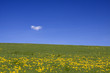 agriculture agriculture