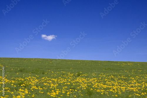 photo par varde64