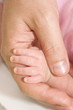Baby, Father And Their Hand