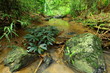 Rill under the rainy season,Thailand Rill under the rainy season,Thailand
