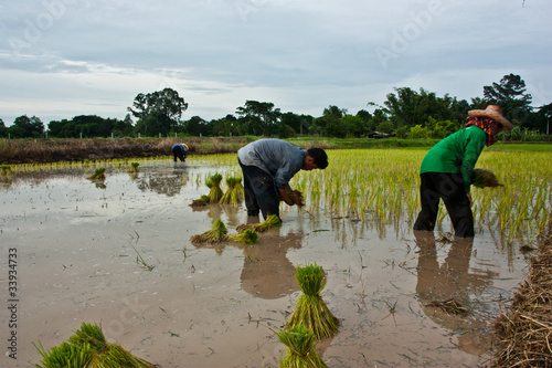 Photo: farmers farmers