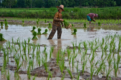 Photo: farmers farmers