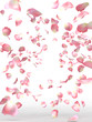 Foto: BlossomShower_image BlossomShower_image