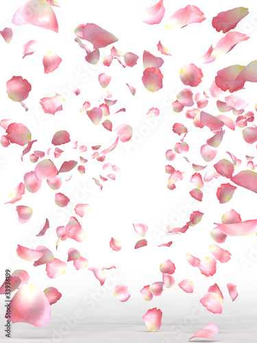 Photo: BlossomShower_image BlossomShower_image