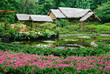 Photo : Suzhou - Jardin de la Politique des Simples 02