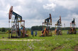 Oil pumps. Oil industry equipment. Oil pumps. Oil industry equipment.
