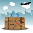 Traveling suitcase Traveling suitcase