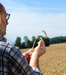 Landwirt auf einem Weizenfeld