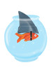 Pesce rosso squalo