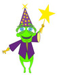 wizard and star
