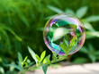 soap bubble