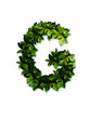 letter leaves G