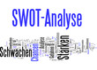 SWOT-Analyse