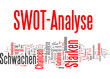 SWOT-Analyse