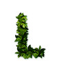 letter leaves L
