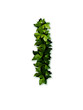letter leaves i
