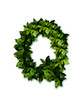 letter leaves Q