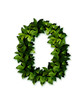 letter leaves O