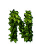letter leaves N