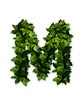 letter leaves M letter leaves M