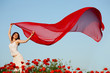 woman in poppy field woman in poppy field