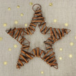 étoile de Noël étoile de Noël