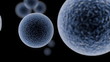 3d rendering of a cell dividing. Matte channel. 3d rendering of a cell dividing. Matte channel.