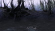 Forest River