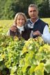 couple in the vines, man holding a red wine glass