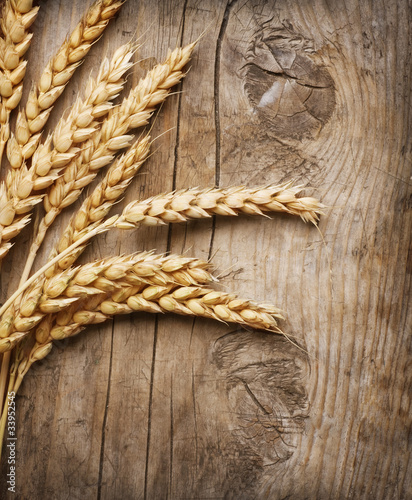 Foto: Wheat Ears on the Wood Background Wheat Ears on the Wood Background