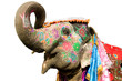 Photo : hand painted elephant profile, Jaipur, Rajasthan,India hand painted elephant profile, Jaipur, Rajasthan,India