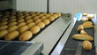 Fresh Bread On The Conveyor Belt