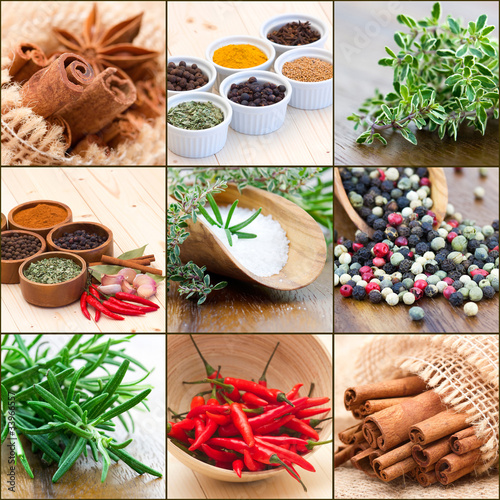 Foto: collage with spices collage with spices
