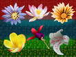 Flower vector