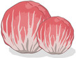 radicchio chioggia