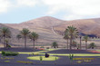 Palm square.Lanzarote