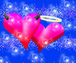 Two Hearts Two Hearts