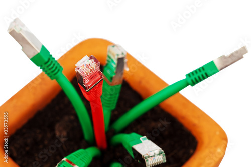 Foto: Netzwerk Kabel in Blumentopf Netzwerk Kabel in Blumentopf