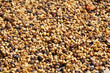 Coffee beans Coffee beans