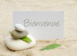 Bienvenue zen