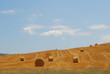 crete senesi - rotoballe crete senesi - rotoballe