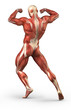 Human muscular back system anatomy in body-builder pose Human muscular back system anatomy in body-builder pose