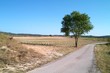 einzeln