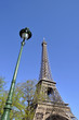 The Eiffel Tower