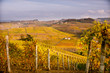 Barolo, langhe autunno