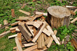 Firewood