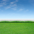White fence and green grass