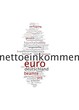 Nettoeinkommen