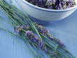 Lavendel